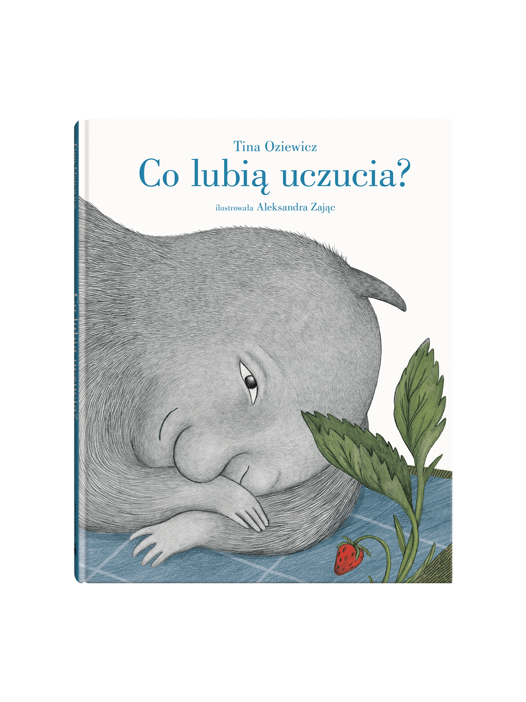 Co lubią uczucia? Wydawnictwo Dwie Siostry BEBE Concept 