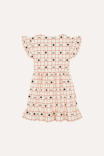 Fruits Allover Dress The Campamento BEBE Concept 