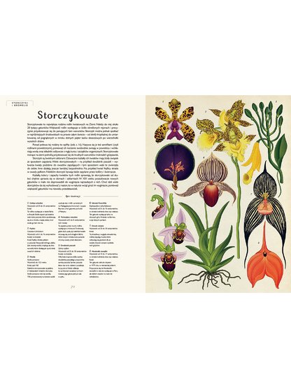 W Muzeum. Botanicum Wydawnictwo Dwie Siostry BEBE Concept 