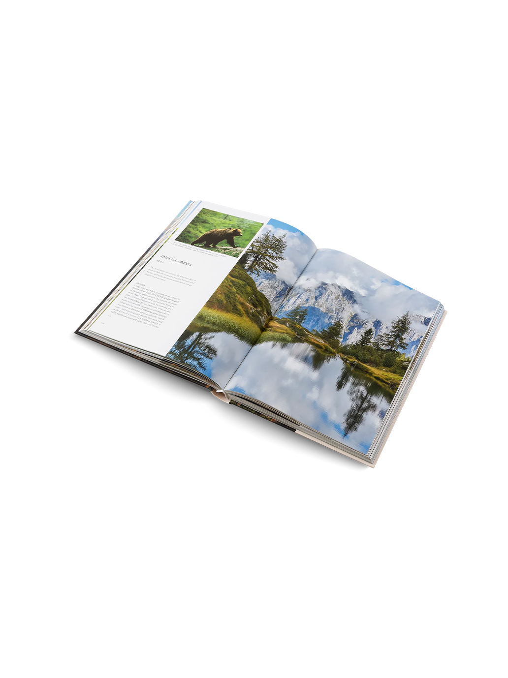 THE UNESCO GLOBAL GEOPARKS Gestalten BEBE Concept 