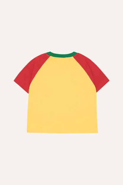 Reading Lion Tshirt The Campamento BEBE Concept 