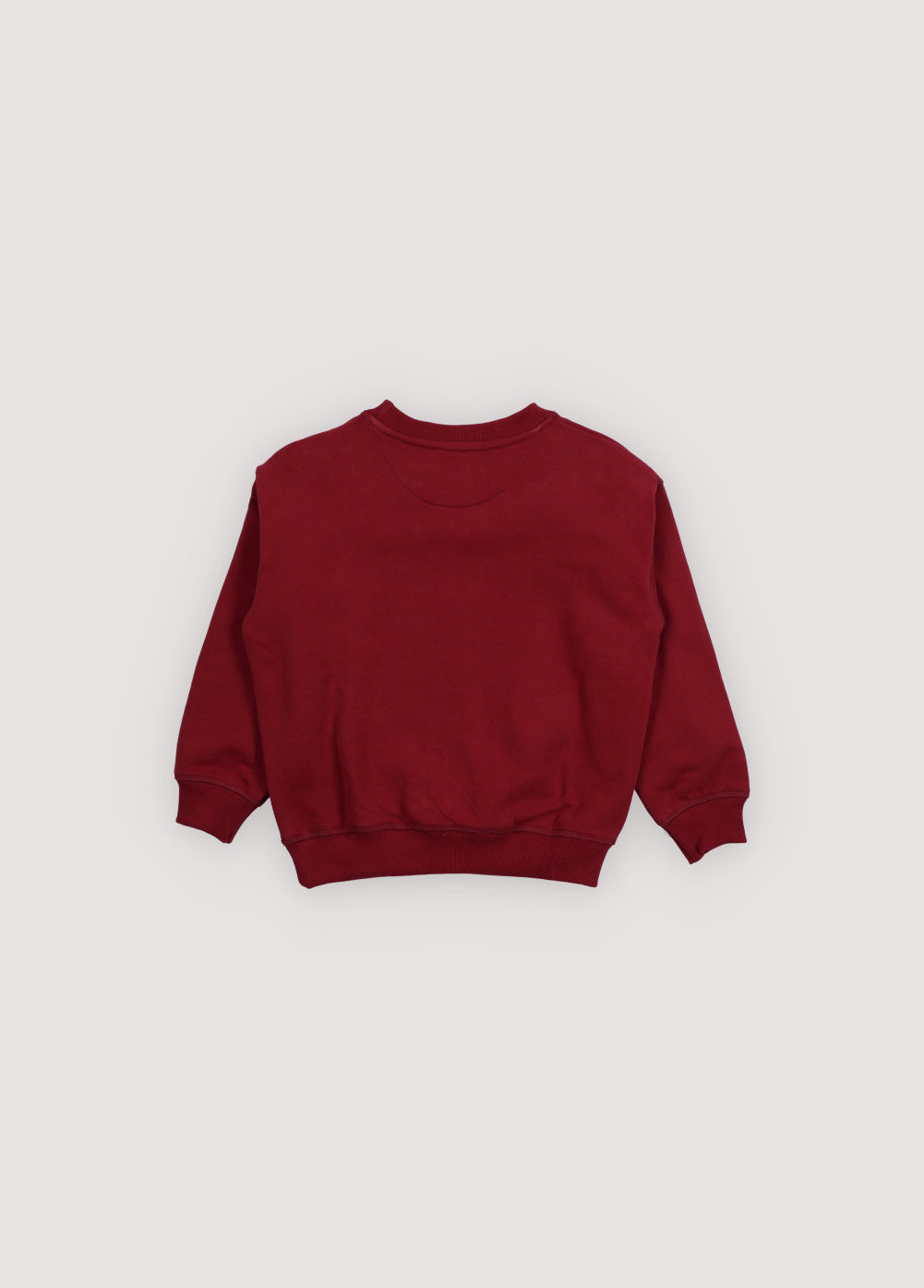 Bluza TNS Logo Sweatshirt The New Society BEBE Concept 