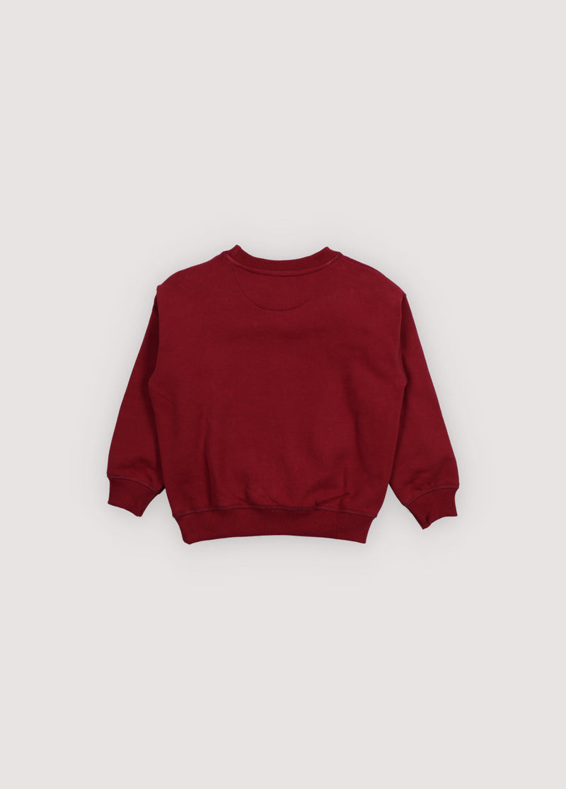Bluza TNS Logo Sweatshirt The New Society BEBE Concept 