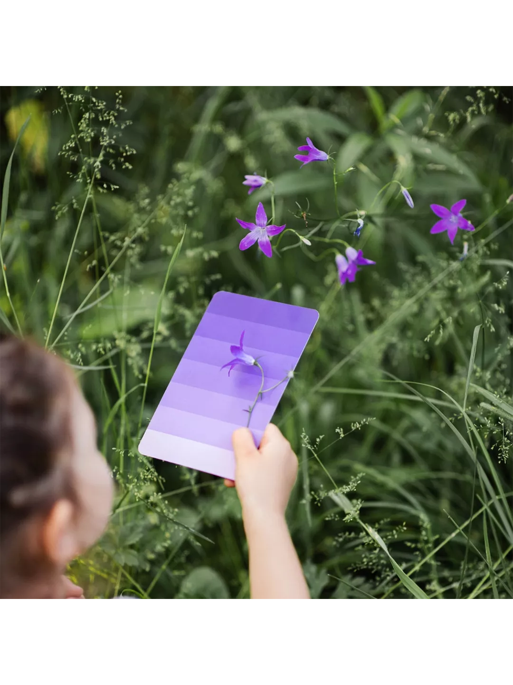 Edukacyjne karty kolorów Nanuki BEBE Concept 
