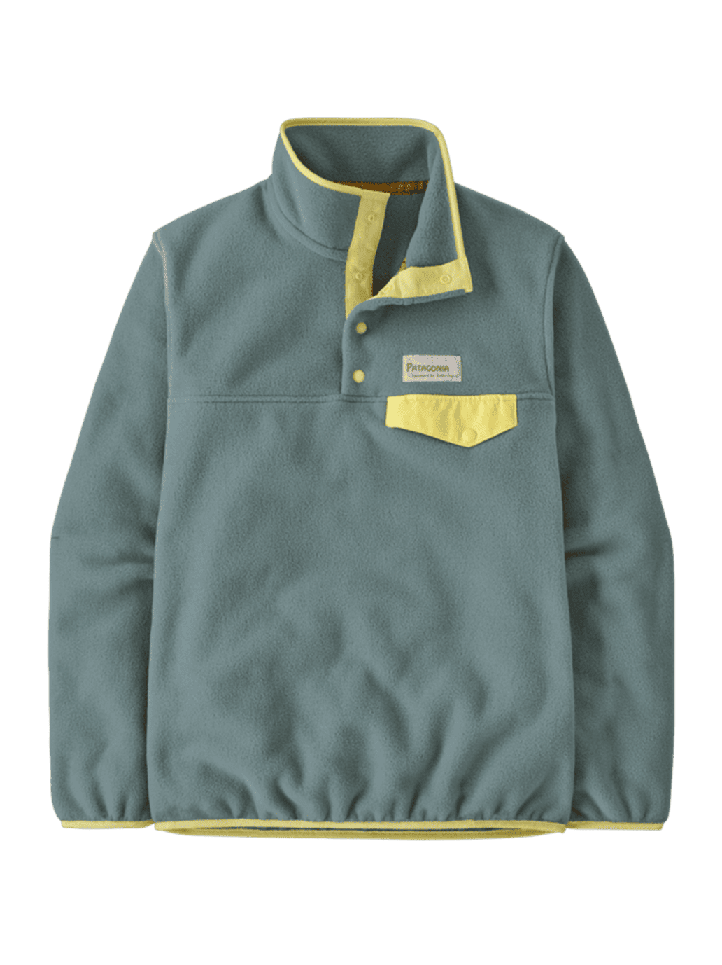 Damska bluza polarowa Lightweight Synchilla Pullover BLUE SAGE