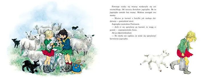 Wiosna w Bullerbyn Wydawnictwo Zakamarki BEBE Concept 
