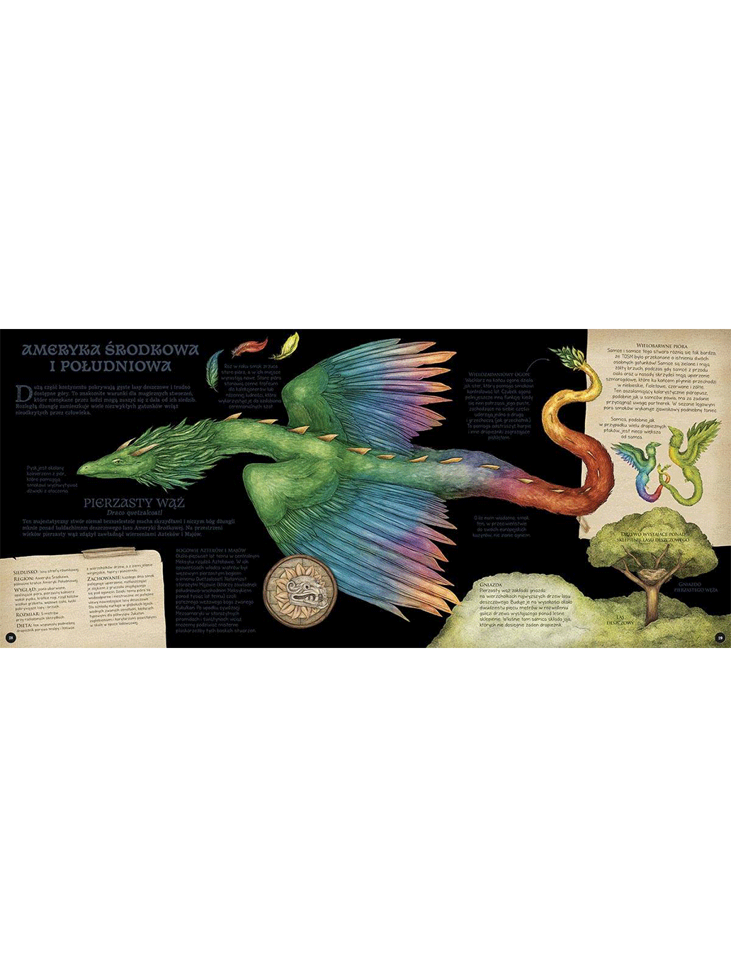 Historia naturalna stworzeń magicznych Wydawnictwo Harper BEBE Concept 
