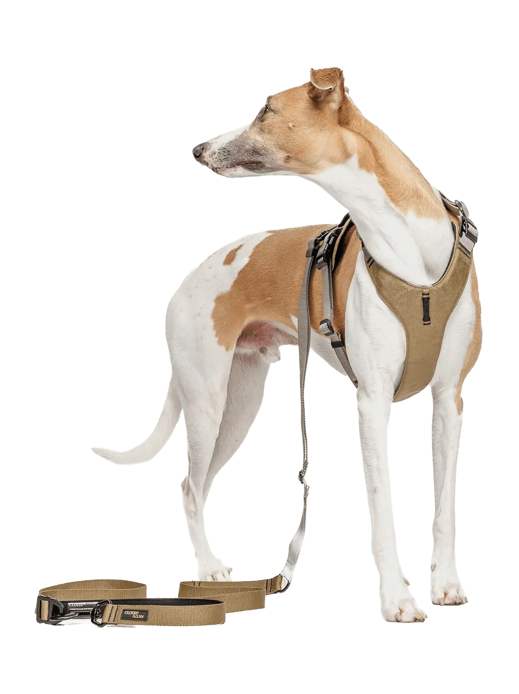 Szelki dla psa Y-2 Harness Aktiv Cloud7 BEBE Concept 