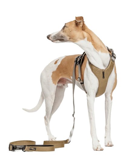 Szelki dla psa Y-2 Harness Aktiv Cloud7 BEBE Concept 