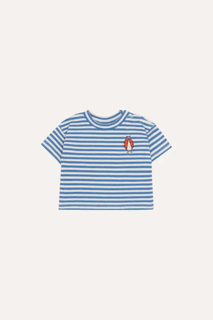 Blue Stripes Baby Tshirt The Campamento BEBE Concept 