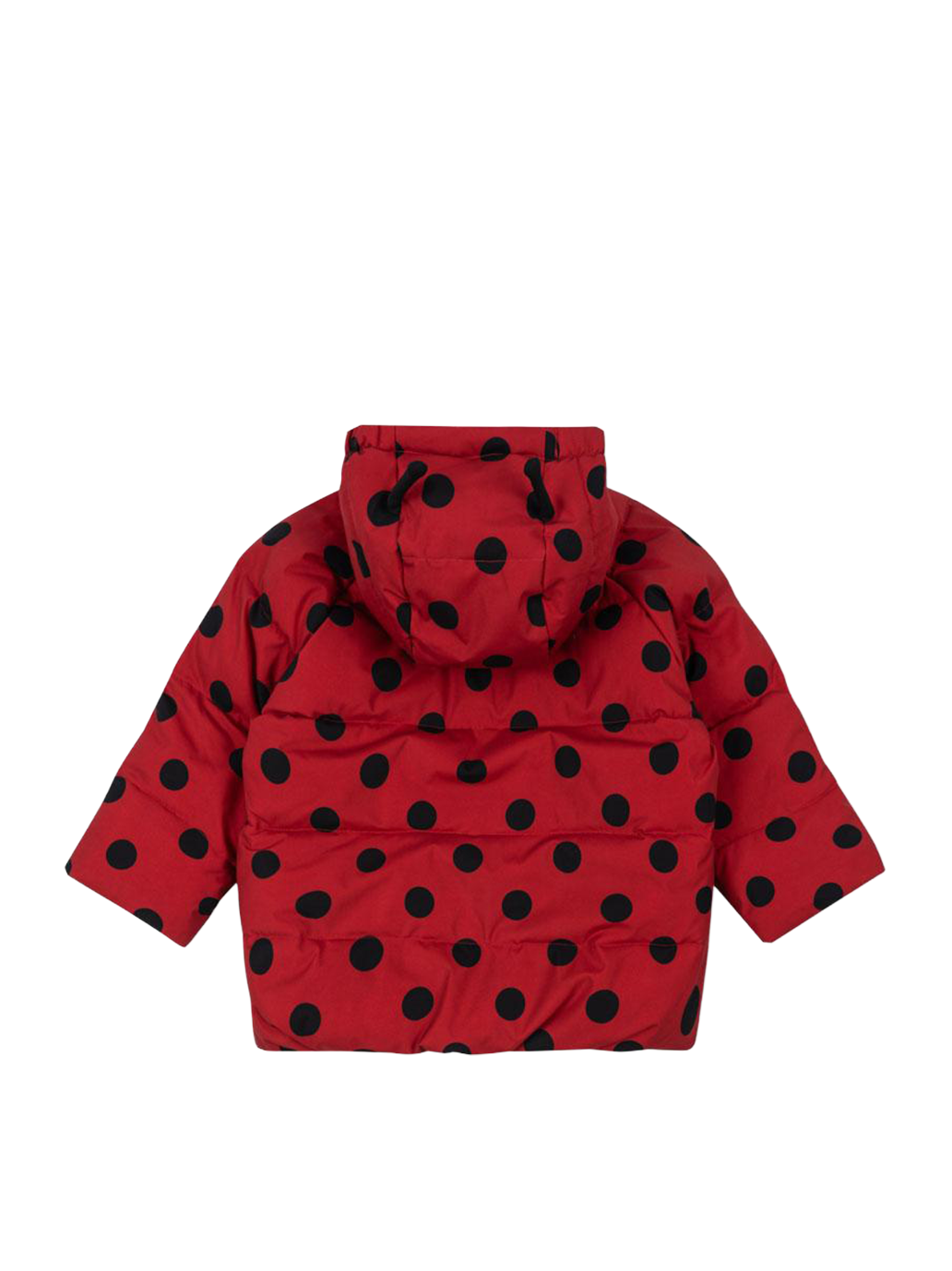 Kurtka Nuka ladybug jacket Konges Slojd BEBE Concept 