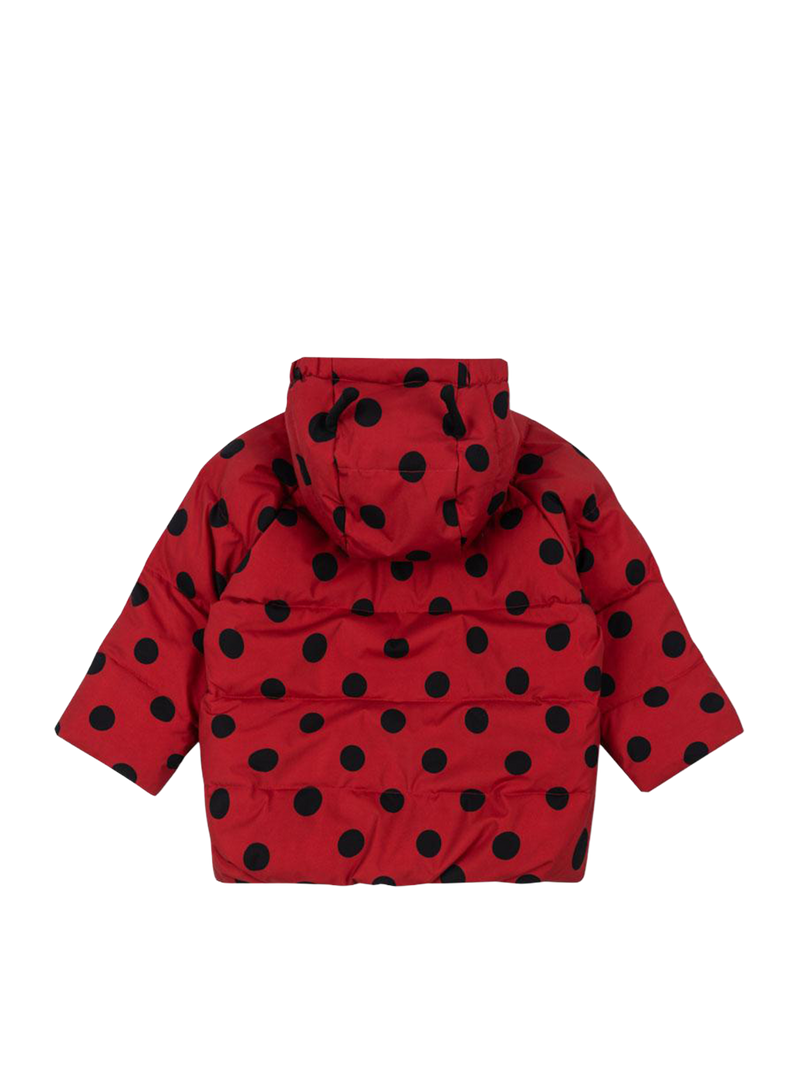 Kurtka Nuka ladybug jacket Konges Slojd BEBE Concept 
